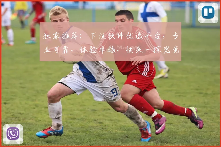 独家推荐：下注软件优选平台，专业可靠，体验卓越，快来一探究竟