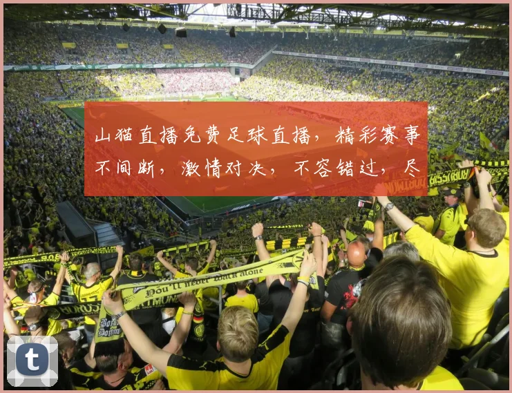 山猫直播免费足球直播，精彩赛事不间断，激情对决，不容错过，尽享足球盛宴